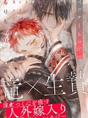 火影忍者漫画全彩版木叶崩坏封面